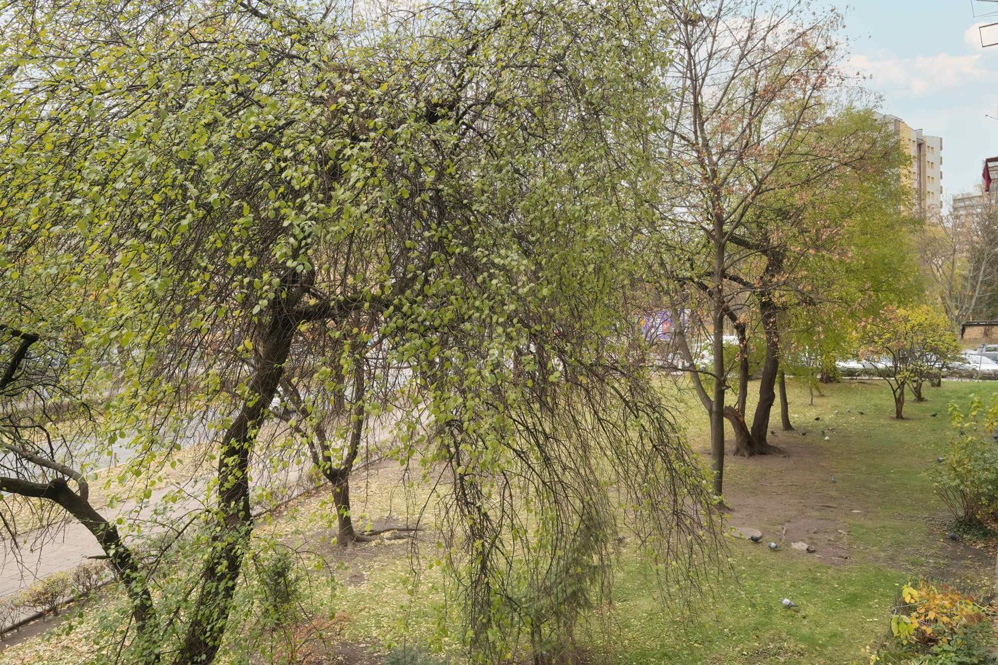Beautiful For 4 People By Renters Wrocław